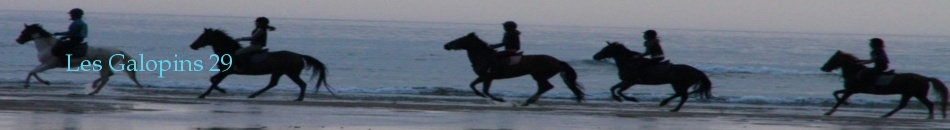 Les Galopins 29
